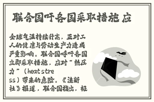 麻豆madofit新品