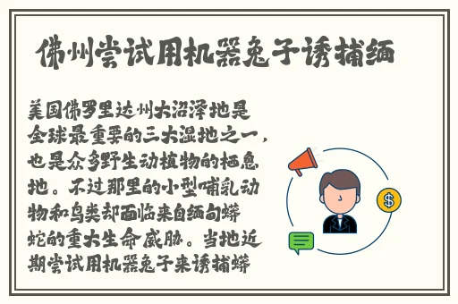 日批发出来的声音录音